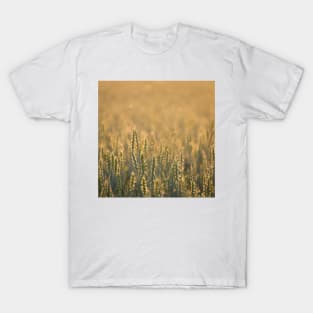 Common wheat T-Shirt